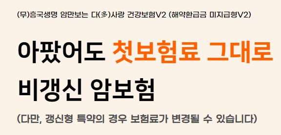 흥국생명 암보험 비갱신형
