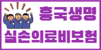 흥국생명 실비보험